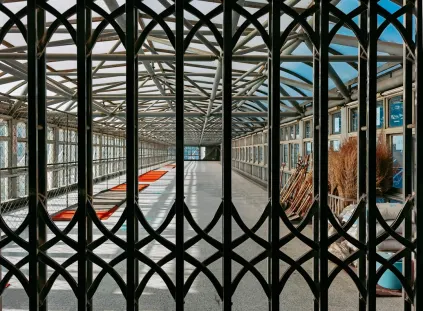 Paripesa Casino App Mobile